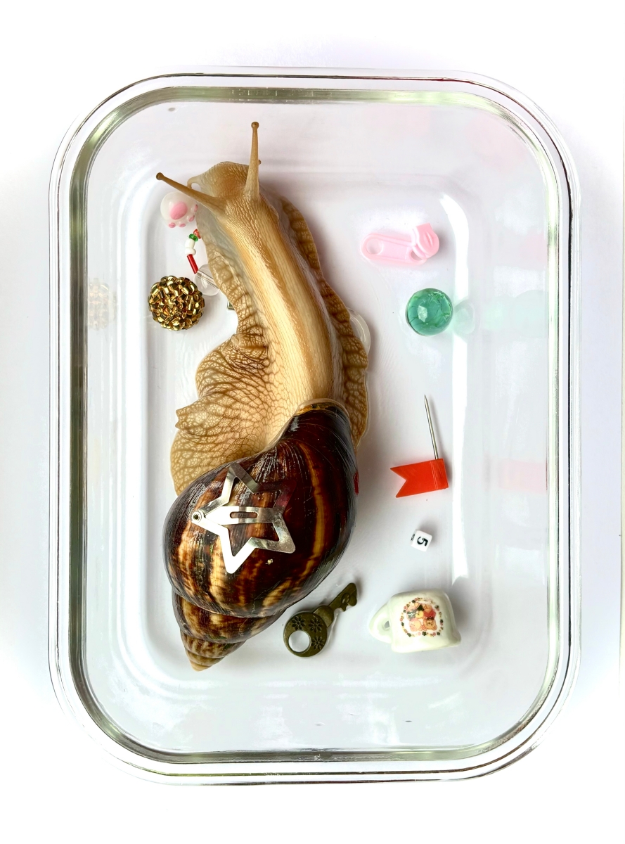 Read: lost and found & the poetics of fragility